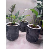 Кашпо BOTANICA автополив Jam (10.5x11.5см, серый)