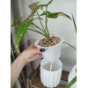 Кашпо BOTANICA автополив Jam (10.5x11.5см, белый)
