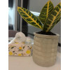 Кашпо BOTANICA автополив Babble (10.5x11.5см, фисташковый)