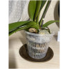 Горшок для орхидей Botanica сетчатый (14x12см/1л, прозрачный)
