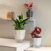 Горшок цветочный BOTANICA автополив Aspect с прозрачным поддоном (17x13.5см, светло-серый)