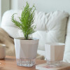 Горшок цветочный BOTANICA автополив Aspect с прозрачным поддоном (12.5x10см, светло-серый)