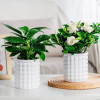 Кашпо BOTANICA автополив Babble (10.5x11.5см, белый)