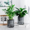 Кашпо BOTANICA автополив Babble (10.5x11.5см, серый)