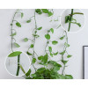 Набор зажимов BOTANICA универсальный (20шт, белый)