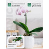 Кашпо BOTANICA автополив Honey (10x11см, белый)