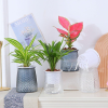 Кашпо BOTANICA автополив Klesh (10x12см, серый)