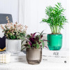Кашпо подвесное с автополивом Botanica Liana (11.5x11.5см, зеленый)