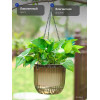 Кашпо подвесное с автополивом Botanica Liana (11.5x11.5см, коричневый)