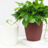 Кашпо BOTANICA автополив Rattan (11.5x11см, коричневый)