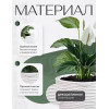 Кашпо BOTANICA автополив Rattan (18.3x17.5см, белый)