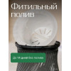 Кашпо BOTANICA автополив Twist (10x13.5см, черный)