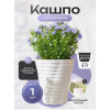Кашпо BOTANICA автополив Duet двойное (19.5x22см/3л, кремовый)