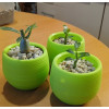 Горшок цветочный BOTANICA Bowl двойной (10x8см, зеленый)