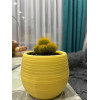 Горшок цветочный BOTANICA Bowl двойной (10x8см, желтый)