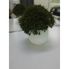 Горшок цветочный BOTANICA Bowl двойной (10x8см, белый)