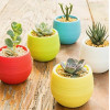 Горшок цветочный BOTANICA Bowl двойной (10x8см, желтый)