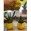 Горшок цветочный BOTANICA Bowl двойной (10x8см, желтый)