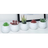 Горшок цветочный BOTANICA Bowl двойной (10x8см, белый)
