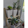 Кашпо Botanica Cactus высокое (11.5x18см, белый матовый)