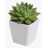 Кашпо Botanica Cactus (7.5х6.5см, белый глянцевый)