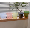Горшок цветочный BOTANICA Glass с поддоном (12х12см, прозрачный)