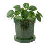 Горшок цветочный BOTANICA Glass с поддоном (12х12см, зеленый)