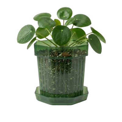 Горшок цветочный BOTANICA Glass с поддоном (12х12см, зеленый)