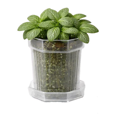Горшок цветочный BOTANICA Glass с поддоном (12х12см, прозрачный)