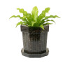 Горшок цветочный BOTANICA Glass с поддоном (12х12, серый)