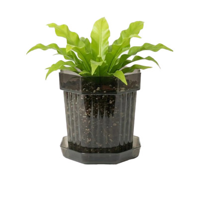 Горшок цветочный BOTANICA Glass с поддоном (12х12, серый)