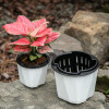 Кашпо BOTANICA автополив Aspect (17x13.5см, белый)