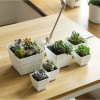 Горшок для кактусов и суккулентов Botanica Air (15x12.5см/2л, белый)