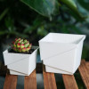 Горшок для кактусов и суккулентов Botanica Air (7.35x6.5см/0.29л, белый)