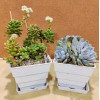 Горшок для кактусов и суккулентов Botanica Air с поддоном (10x9.6см/0.7л, белый)