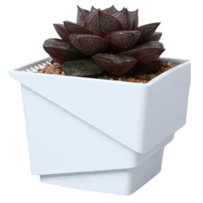 Горшок для кактусов и суккулентов BOTANICA Air (7.35x6.5см/0.29л, белый)