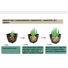 Горшок для кактусов и суккулентов Botanica Air (15x12.5см/2л, белый)