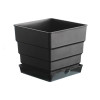 Горшок для кактусов и суккулентов Botanica Air с поддоном (12x11см/1л, черный)