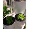 Кашпо BOTANICA автополив (9x9см, белый)