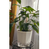 Горшок цветочный BOTANICA автополив Aspect с прозрачным поддоном (12.5x10см, светло-серый)