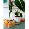 Горшок цветочный BOTANICA автополив Aspect с прозрачным поддоном (12.5x10см, светло-серый)