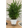 Горшок цветочный BOTANICA автополив Aspect с прозрачным поддоном (12.5x10см, светло-серый)