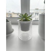 Кашпо BOTANICA автополив Klesh (10x12см, прозрачный)
