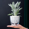 Кашпо BOTANICA автополив Diamond (11х11cм, прозрачный)