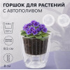 Кашпо BOTANICA автополив Fresh (12х12см, прозрачный)
