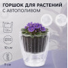 Кашпо BOTANICA автополив Fresh (13х14см, прозрачный)