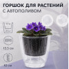 Кашпо BOTANICA автополив Fresh (17х16см, прозрачный)