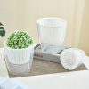 Кашпо BOTANICA автополив Fresh (11х10.5см, прозрачный)