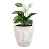 Кашпо BOTANICA автополив Rattan (18.3x17.5см, белый)