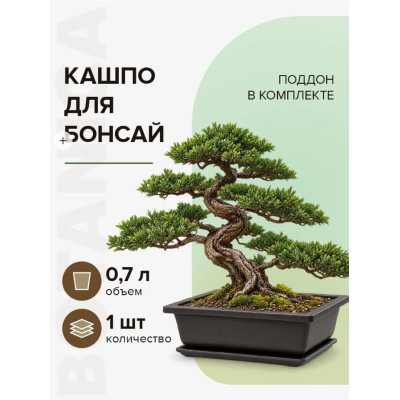 Горшок цветочный Botanica Бонсай с поддоном (16x12х6см/0.65л, коричневый)
